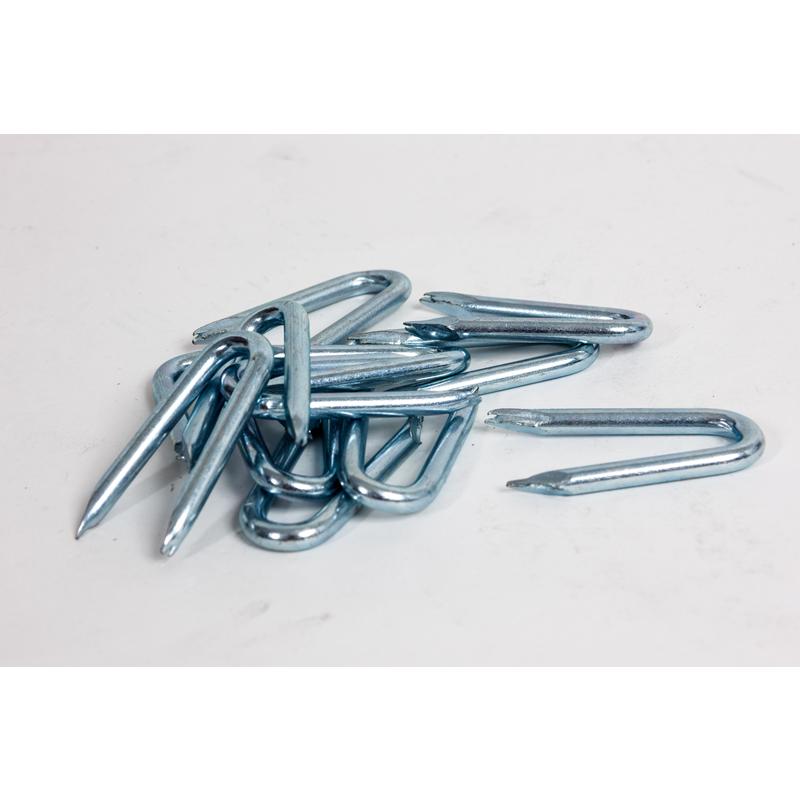 20x2.0 Galvanised Presser Point Staples - 5kg Tub